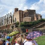 Looking towards the Palatine Hill