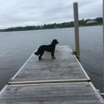 Schempe on the dock